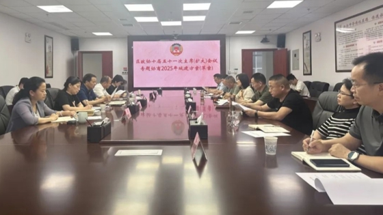 鼎城区政协主席会议专题协商2025年城建方案（草案）