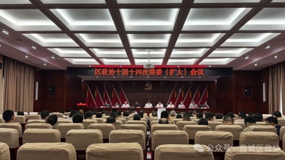 鼎城区政协：举行十届十四次常委（扩大）会议