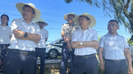 雷建国视察冲柳水系湿地生态环境保护工作