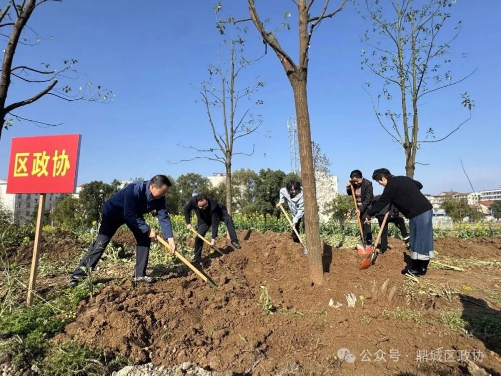 区政协积极参与鼎城区示范植树活动