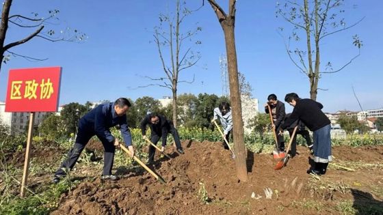 区政协积极参与鼎城区示范植树活动