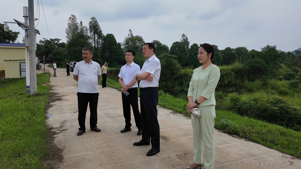 鼎城区领导督导检查乡镇（街道）防汛工作